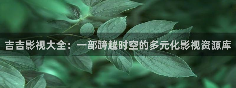 策驰电视剧策驰影院20