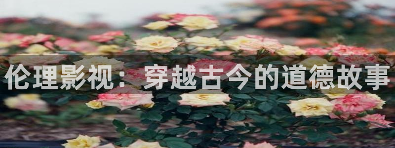 雁回时电视剧策驰影院