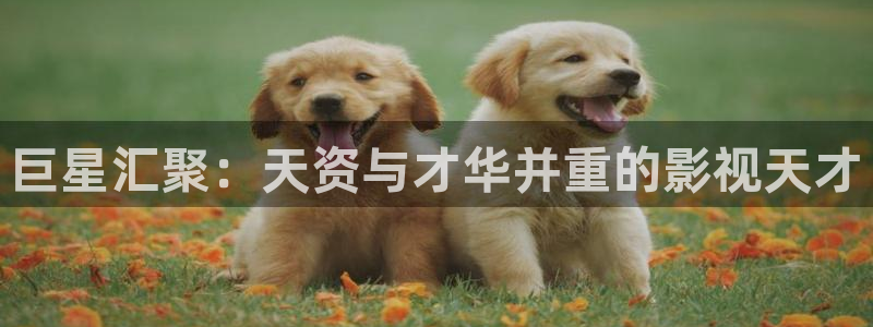 娘道免费观看策驰影院