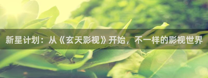 大工匠电视剧策驰影院