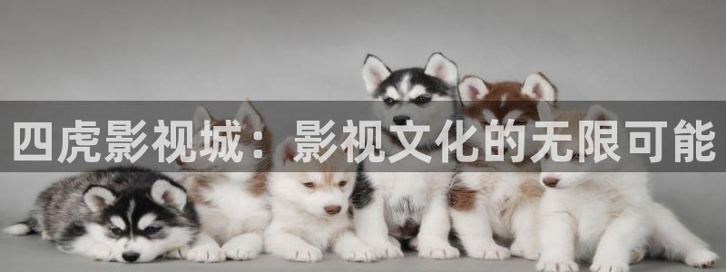 策驰影院雪中悍刀行