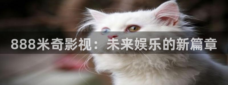 深宫谍影策驰影院